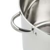 Stainless Steel 20-Quart Stock Pot with Glass Lid