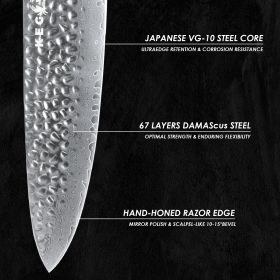 Kegani Chef Knife, 8 Inch Damascus Chefs Knife-Japanese VG10 Super Steel Hammered - G10 Handle Kitchen Knife - Classic Series (size: Chef Knife)